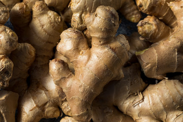 Wall Mural - Raw Brown Organic Spicy Ginger Root