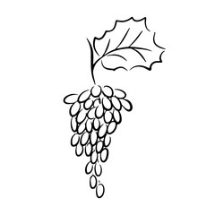 Sticker - A simple sketch of grapes is drawn by hand with a black pen. Isolated on a white background