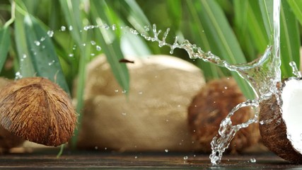 Fototapete - Super slow motion of falling halved coconut with splash, speed ramping effect. Filmed on high speed cinema camera, 1000 fps.