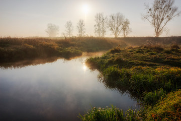 Canvas Print - Beautiful lake in the morning and fog