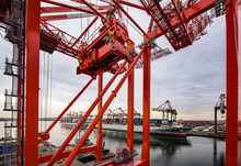 Shipping Cranes In A US Port