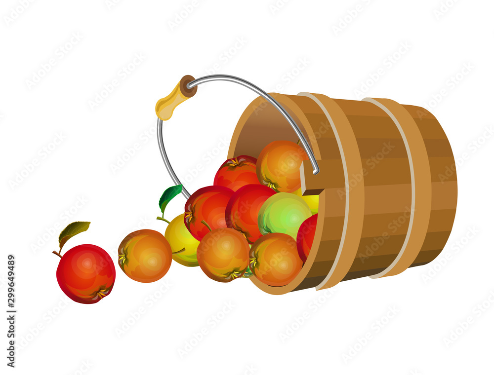 Apples scattered from bucket, isolated on white background Stock Vector ...
