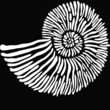 Weißer Ammonit auf dunklem Grund. Abstrakte Vektor Zeichnung eines Kopffüßlers
