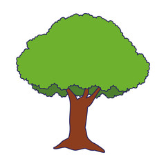 Wall Mural - tree icon, flat design