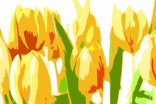 Illustration Of Colorful Flowers On A White Background