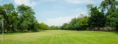 Cuadros en Lienzo Panorama image of Beautiful of green lawn grass meadow field and trees in public park with city buildings in the background