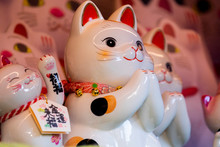 A Group Of Ceramic Japanese Lucky Cats In The Display Cabinet (subtitle: Lucky Cat, Jin Yun Laifu)