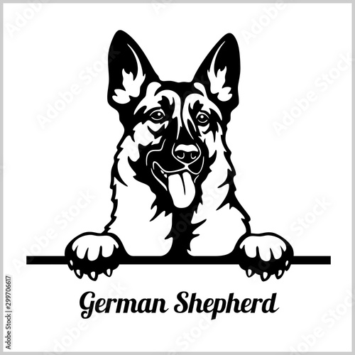 German Shepherd Peeking Dogs Breed Face Head Isolated On White Buy This Stock Vector And Explore Similar Vectors At Adobe Stock Adobe Stock