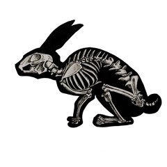 stylized black and white illustration of a rabbit skeleton