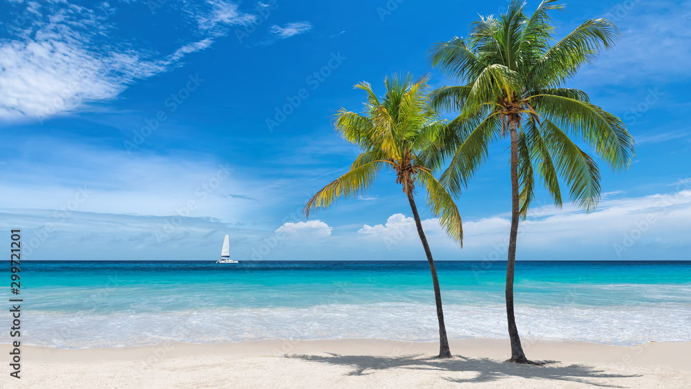 Paradise beach with palm trees and sailboat in tropical sea in Key West, Florida - obrazy, fototapety, plakaty 