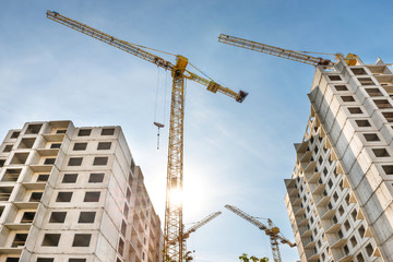 Wall Mural - Construction site with buildings and industrial cranes