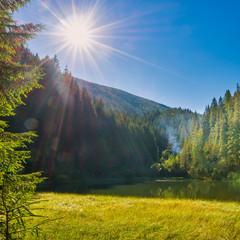 Canvas Print - Beautiful forest lake in the mountains with blue water, morning light and shining sun