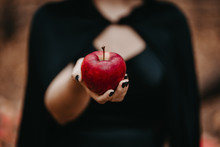Woman As Witch In Black Offers Red Apple As Symbol Of Temptation, Poison. Fairy Tale Concept, Halloween, Cosplay.
