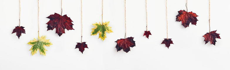 Wall Mural - Flat lay autumn creative photo