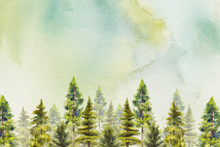 The Woodland In Watercolor