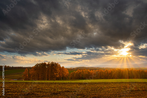 夕暮れ晩秋 Buy This Stock Photo And Explore Similar Images At Adobe Stock Adobe Stock