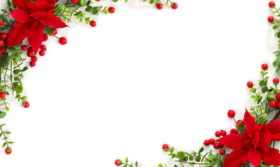 christmas decoration. frame of flower of red poinsettia, branch christmas tree, red berry on a white