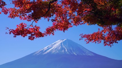 Fototapete - Mountain fuji with red maple in Autumn, Kawaguchiko Lake, Japan