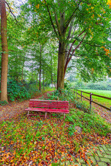 Wall Mural - Red metal bench between a dirt path and a wooden fence in the countryside