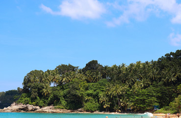 Wall Mural - coconut palms on the beaches of asia in phuket in thailand, against the backdrop of mountains and blue sky in bounty style