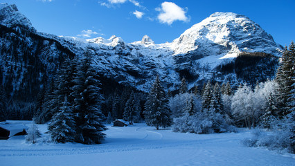 Wall Mural - winter mountain landscape