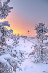 Winter beautiful sunset and mist above the water of river. Frosty weather, trees are covered with fluffy hoarfrost - urban winter landscape in Siberia, Russia