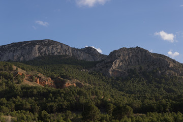 rocky mountain with pine trees and clouds