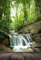 Wall Mural - forest waterfall