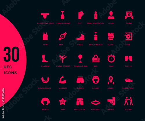 Fotomural Set of Simple Icons of UFC