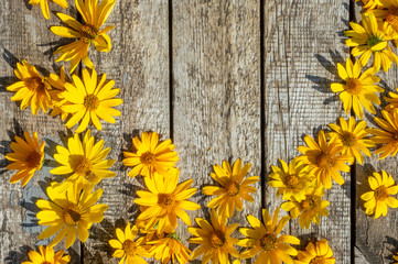 Yellow rudbeckia flowers on a wooden vintage table. Rudbeckia fulida var Sullivantii 'Goldsturm' - summer flowering known as black-eyed susan or echinacea