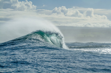 Wall Mural - Beautiful Breaking wave in Hawaii