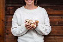 Young Beautiful Woman With Brown Wool Sweater Is Holding Fresh Porcini Mushrooms, Orange Bolete, Boletus Edulis In Her Hand; Lower Austria
