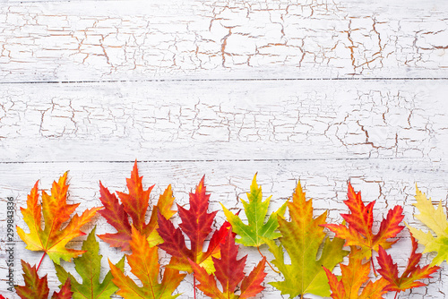 Fotografía Autumn background with maple leaves