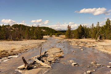 Flusslandschaft im Norris Geyser Basin Yellowstone Nationalpark