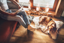 Man Reading Book On The Cozy Couch Near Slipping His Beagle Dog On Sheepskin In Cozy Home Atmosphere. Peaceful Moments Of Cozy Home Concept Image.
