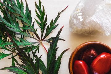 Poster - Red Jasper with Quartz and Japanese Maple Leaves on Wood