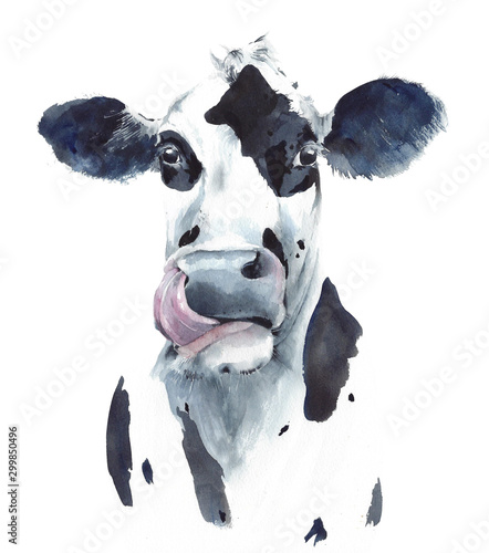 Obraz krowa  krowa-glowa-portret-czarno-biale-zwierze-gospodarskie-akwarela-malarstwo-ilustracja-na-bialym-tle