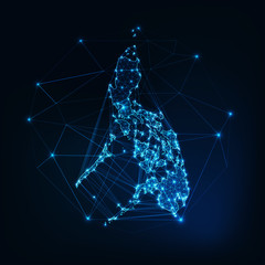Wall Mural - philippines map glowing silhouette outline made of stars lines dots triangles, low polygonal shapes.