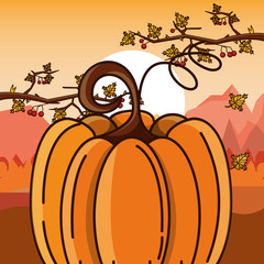 Poster - happy thanksgiving day card with pumpkin