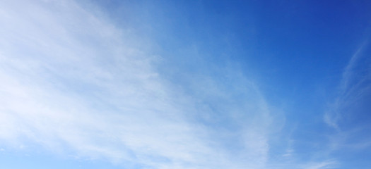 Wall Mural - empty white cloud on blue sky