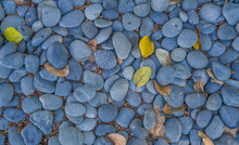 Cobalt Blue Round Stones With Autumn Leaves For Use As A Background Or Advertising Template.