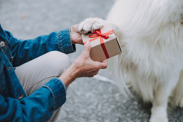 Caucasian woman keeping palm of her pet outdoors