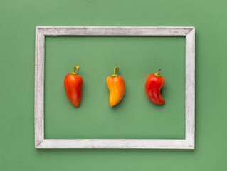 Wall Mural - Pepper out of wooden border in minimalism style on green