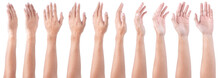 GROUP Of Male Asian Hand Gestures Isolated Over The White Background. Soft Grab Action.