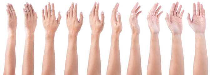 GROUP of Male asian hand gestures isolated over the white background. Soft Grab Action.