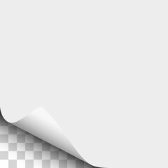 Wall Mural - Vector lower left curl of corner of white sheet of paper.