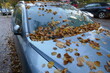 Wet brown autumn leaves on the bonnet clog the vents of a car parked on the roadside.