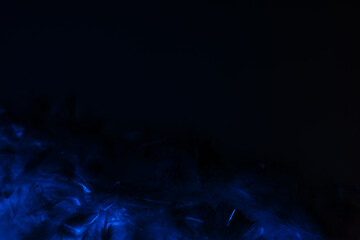 Beautiful abstract purple and blue feathers on the dark and black background and colorful soft black feather texture