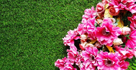 Wall Mural - Pink flower blooming or isolated on green grass field with left copy space. Beautiful of Nature and Natural wallpaper