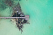 © ClickAlps - a vertical shot of a pier along a beautiful beach, Trou d'Eau Douce, Mauritius, Indian Ocean, Africa